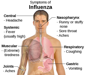Symptoms of Influenza