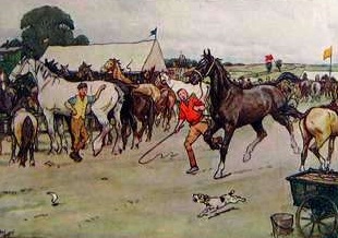 Black Beauty at the Fair