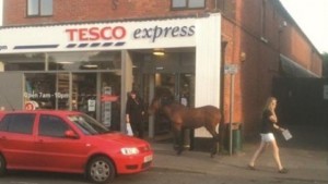 Tesco Pony Express