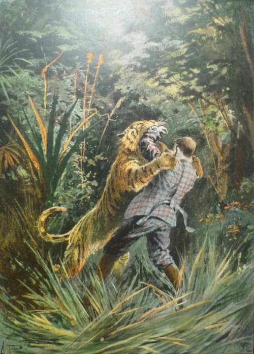 Walked off by a Tiger