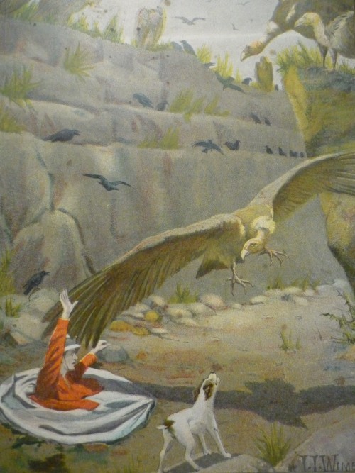 What happened in Shwebo